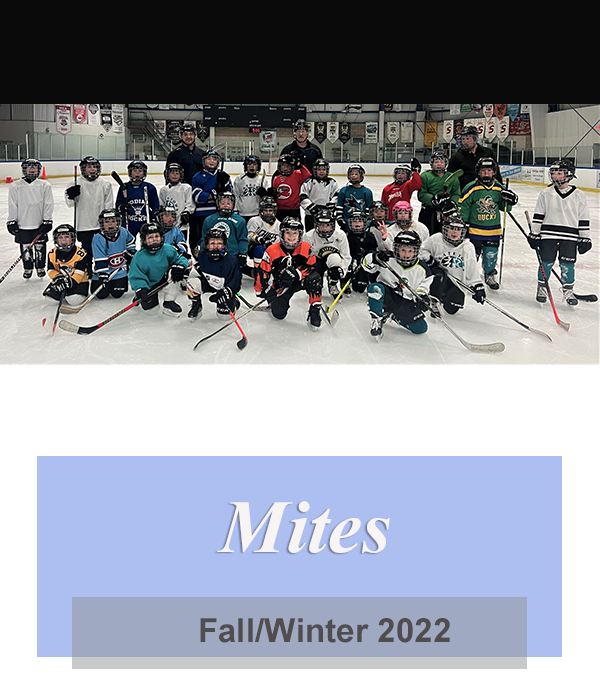 Skating